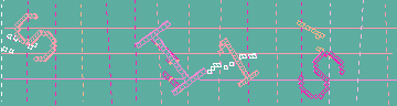 确认码